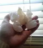20180725_130509-1~2.webp