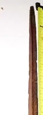 000aaa.webp