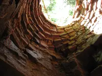 2018-07-13 017 - Copy.webp