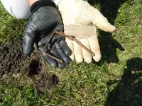 DSCN6525.JPG_1.webp