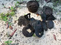 20180609_085343.webp