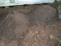 2018-07-13 053 - Copy.webp