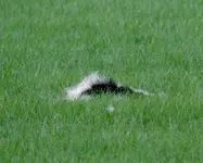 K1600_DSCN9339.webp