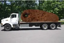 truckload.webp