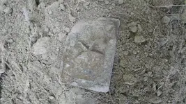 Plate Dirt-1.webp