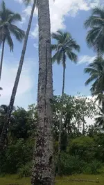 sign 10.webp