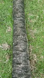sign 8.webp
