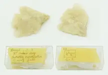 Arrowhead-Trench-C-3.webp