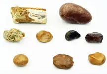 Wood-and-Rocks-1.webp Wood-and-Rocks-1.webp