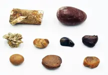Wood-and-Rocks-2.webp