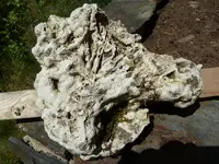 rocks week of 6-3-18 005.webp