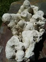 rocks week of 6-3-18 008.webp