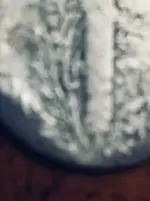 ImageUploadedByTreasureNet.com1530225256.067728.webp ImageUploadedByTreasureNet.com1530225256.067728.webp