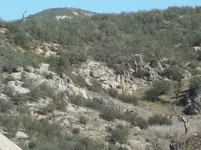 100_4550.webp