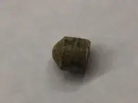 .22 Cal Side.webp