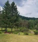 20180716_152445.webp