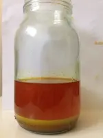 image.webp