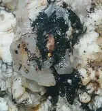 20180805_140418-1.webp