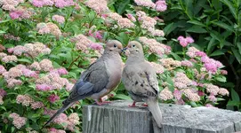 K1600_018_InPixio.webp K1600_018_InPixio.webp