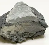 rock31.webp