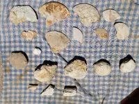 20180715_150144.webp
