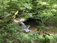 ImageUploadedByTreasureNet.com1529361370.909098.webp