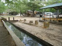 2011_0422Mttohuntdeer4th0011.webp