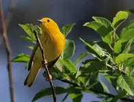021111.webp
