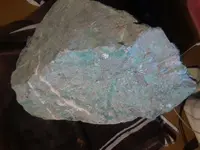 15302325432471058629607.webp