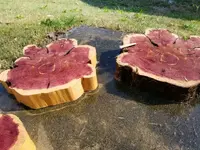 2018032495164006.webp