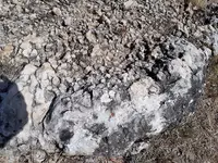 20180714_161435 (1).webp