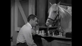 Mr. Ed.webp