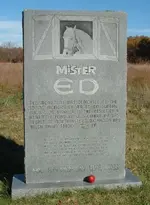 mister ed's gravestone (469x640).webp