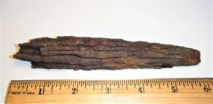Ship Nail 1.webp