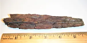 Ship Nail 2.webp