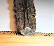 Ship Nail Top.webp