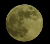 moon.webp
