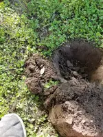 20180706_090756.webp