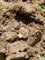 20180706_110039.webp