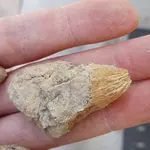 20180805_201231.webp