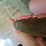 20180726_133153.webp