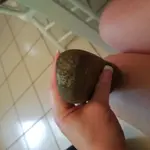20180726_133117.webp
