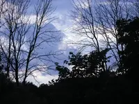 sunset8.webp