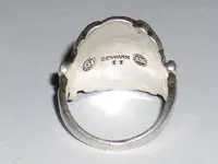 IMGP0334.webp