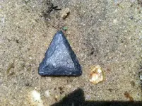 points7.webp