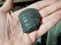 20180717_093704.webp