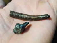 20180717_094512.webp