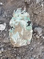 20180822_191246.webp