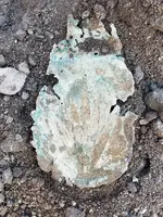 20180822_191251.webp