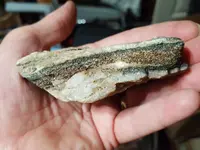 20180717_094102.webp